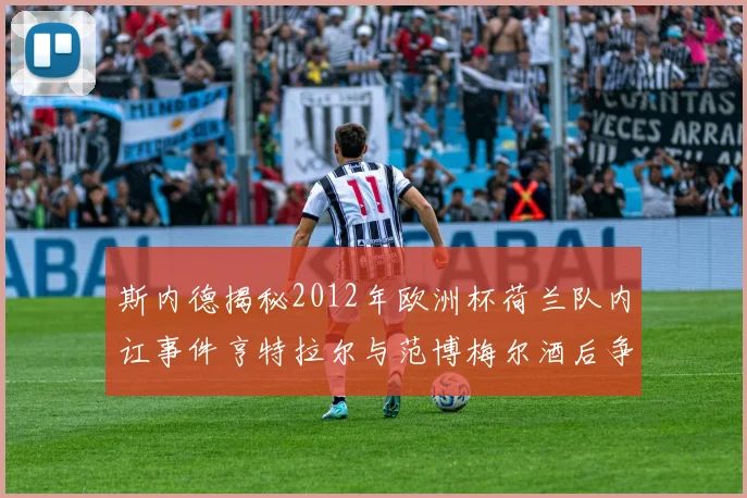 斯内德揭秘2012年欧洲杯荷兰队内讧事件亨特拉尔与范博梅尔酒后争执内幕