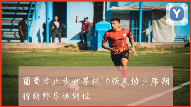 葡萄牙止步世界杯16强足协主席期待新帅尽快到位