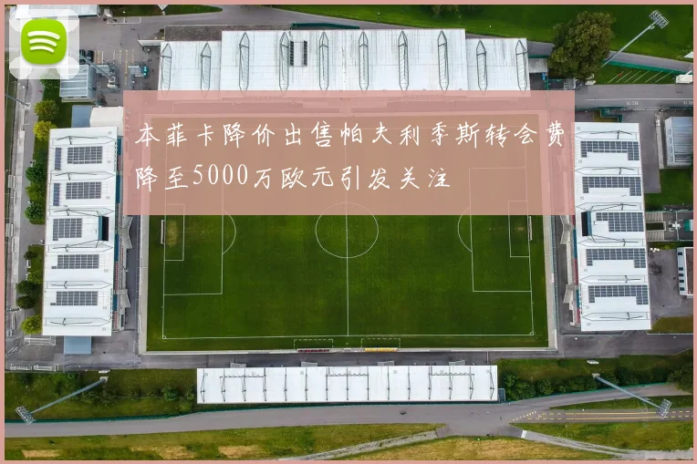 本菲卡降价出售帕夫利季斯转会费降至5000万欧元引发关注
